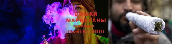 ГАЛЛЮЦИНОГЕННЫЕ ГРИБЫ Пестово