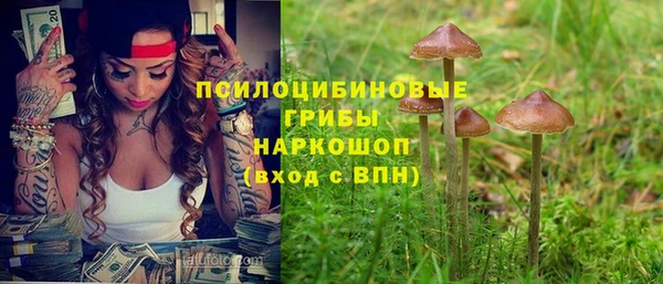 МДПВ Абдулино